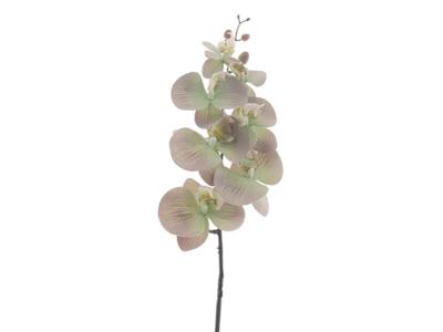 Kunstbloem phalaenopsis green, 90 cm - Hortus