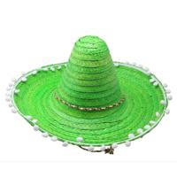 Mexicaanse Sombrero hoed voor heren - carnaval/verkleed accessoires - groen - met ornamenten