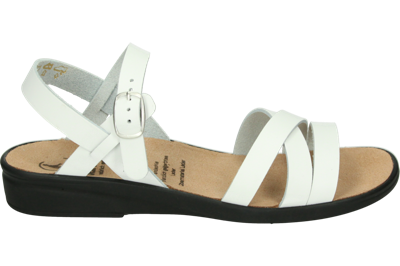 Ganter 202811 SONNICA - alle