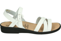 Ganter 202811 SONNICA - alle