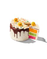 HEMA Vaderdag Dripcake 8 P.