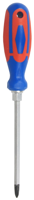 CON:P schroevendraaier ph2 100mm 2c - cpt353002