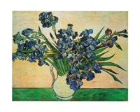 Kunstdruk Vincent Van Gogh - Iris Strauss, 1890 50x40cm