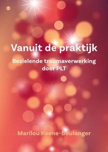 Vanuit de praktijk (Paperback)
