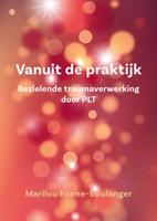 Vanuit de praktijk (Paperback)