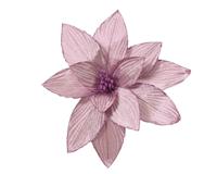 Poinsettia pesfluweel d30h15 cm lila Everlands - Everlands