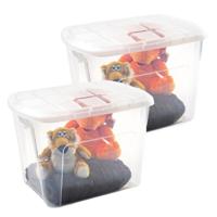 Plasticforte opberg kist met deksel - 2x - Box - 75 liter - 60 x 42 x 43cm - kunststof - transparant