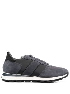 Geox baskets Spherica - Gris