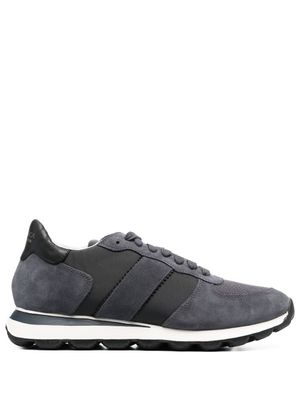 Geox baskets Spherica - Gris