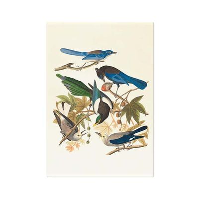 Schilderij op Paneel Vogels Aluminium 50x70 Een Ophangplaat