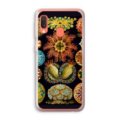Haeckel Ascidiae: Samsung Galaxy A20e Transparant Hoesje