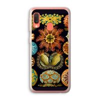 Haeckel Ascidiae: Samsung Galaxy A20e Transparant Hoesje