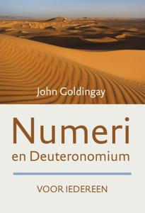 Numeri en Deuteronomium voor iedereen (Paperback)