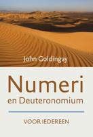 Numeri en Deuteronomium voor iedereen (Paperback)