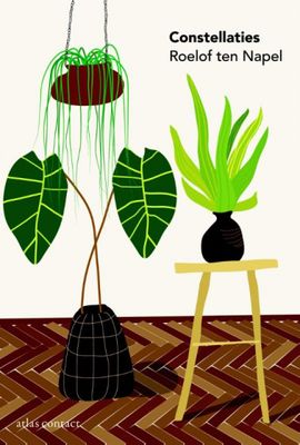 Roelof ten Napel Constellaties