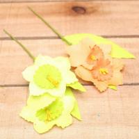 Bonbon doosjes - Chocolade doosje - Dubbele narcis - 24 stuks