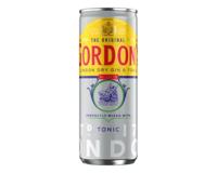 Gordon's gin tonic blik (12x 25cl)