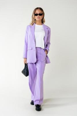 Colourful Rebel Rus Straight Pants | Light lilac