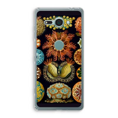 Haeckel Ascidiae: Sony Xperia XZ2 Compact Transparant Hoesje
