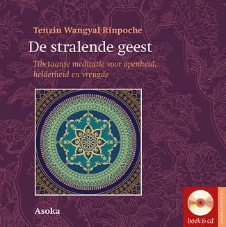 De stralende geest (Hardback)