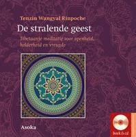 De stralende geest (Hardback)