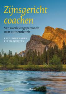 Zijnsgericht coachen (Paperback)