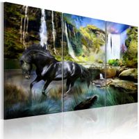 Schilderij - Zwart Paard voor Waterval VI, Wanddecoratie , print op canvas , 5luik