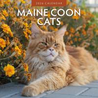 Maine Coon Kalender 2026