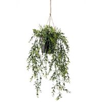 Emerald Kunstplant hangend in pot buxus 50 cm - thumbnail