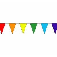 Polyester vlaggenlijn regenboog 5 meter   -