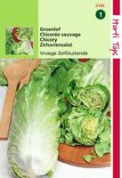 Groenlof vroege zelfsluitende - Hortitops