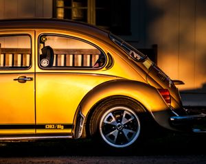 Golden Beetle Kunstdruk