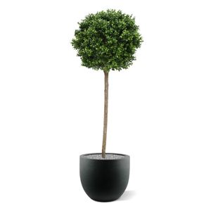 Buxus bol op stam kunstplant 140cm - UV bestendig