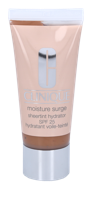 Clinique Moisture Surge Sheertint Hydrator SPF25 40ml BB & CC Cream