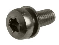 ANP BOUT M5X12 TORX M/PLAAT RVS DS A 25