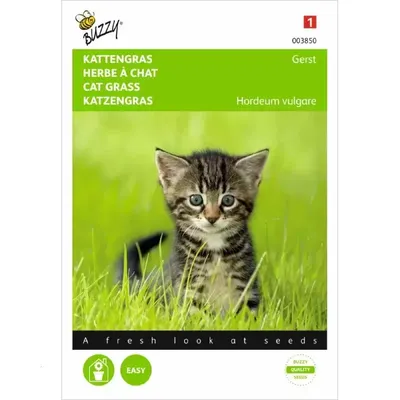 Kattengras Gerst