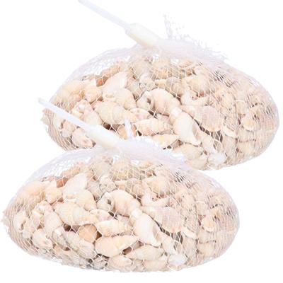 Rayher Schelpjes - 2x - posthoorn schelpen - decoratie - 150 gram - maritiem