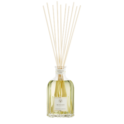 Dr. Vranjes Geurstokjes Ginger Lime Diffuser 250ml Dr. Vranjes Geurstokjes Ginger Lime Diffuser 250ml