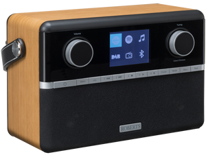 Roberts Stream 94i Plus Bruin