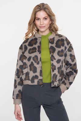Geisha Bomber Jacket 55521-10 Jackets 735 Camel/antracite