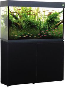 Trofis Colisa A-1000 Zwart - Aquarium Met LED