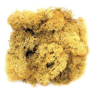 Decoratie nep mos - geel - 50 gram - Hobby/knutselen - herfst/kerst thema decoreren