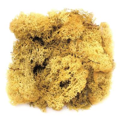 Decoratie nep mos - geel - 50 gram - Hobby/knutselen - herfst/kerst thema decoreren