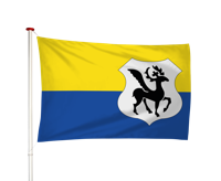 Vlag Blerick