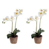 Set van 2x stuks kunstplanten Orchidee wit 42 cm in pot