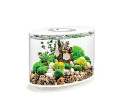 biOrb LOOP 15 MCR wit