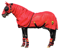 Horse Armor Knockdown Vliegendeken 191 cm