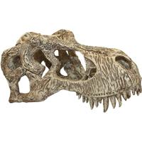 Komodo T-rex schedel - thumbnail