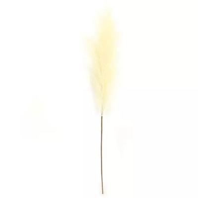 Pampas Gras 60 cm Licht geel kunstplant - Buitengewoon de boet