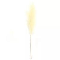 Pampas Gras 60 cm Licht geel kunstplant - Buitengewoon de boet